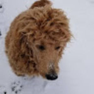 Meet your Posher, Kendra